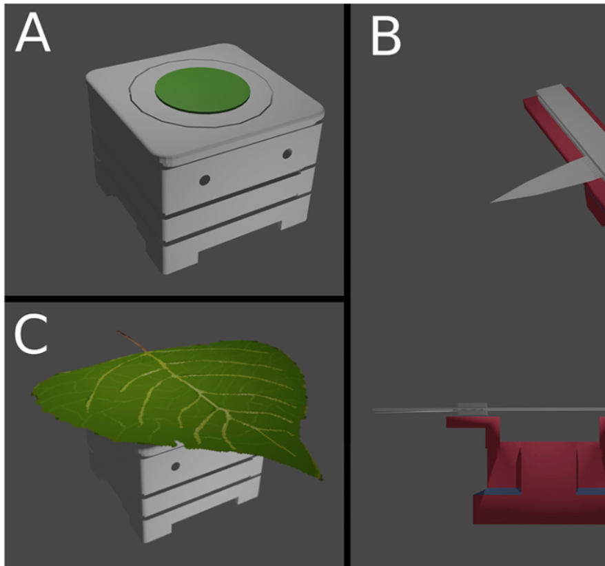 3D printed sensor mount for hyperspectral leaf water content dynamics Samuli Junttila