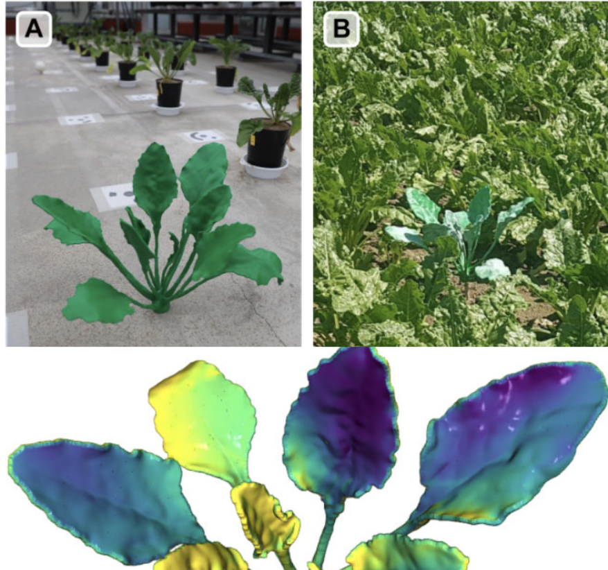 3D printed shoot model for accurate and reliable 3D plant phenotyping Jonas Bömer