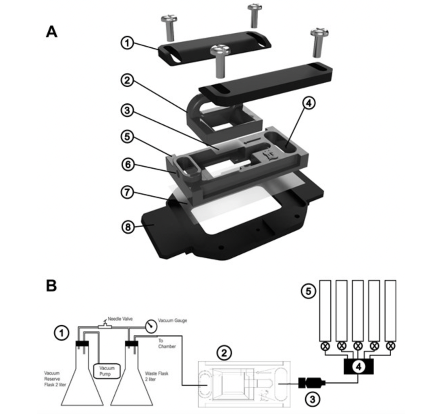 Sample holder with a flow cell connected to a constant-pressure perfusion and extraction system Britta M C Kümpers