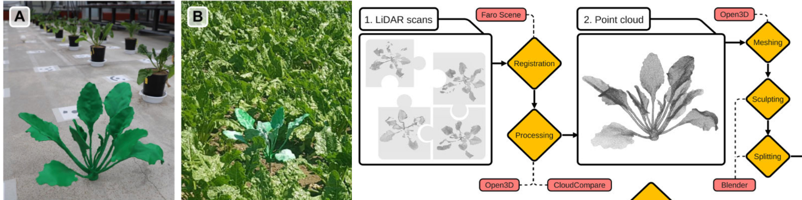 D printed shoot model for accurate and reliable 3D plant phenotyping Jonas Bömer