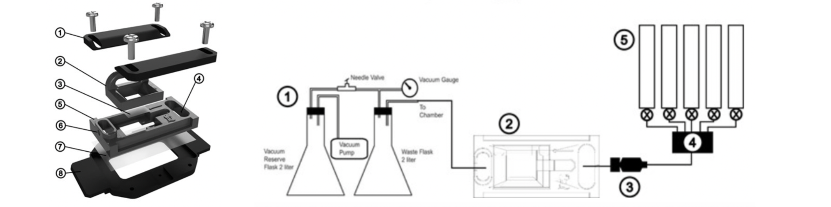 Sample holder with a flow cell connected to a constant-pressure perfusion and extraction system Britta M C Kümpers